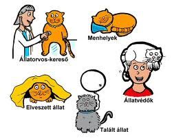 alat_mindenfele.jpg
